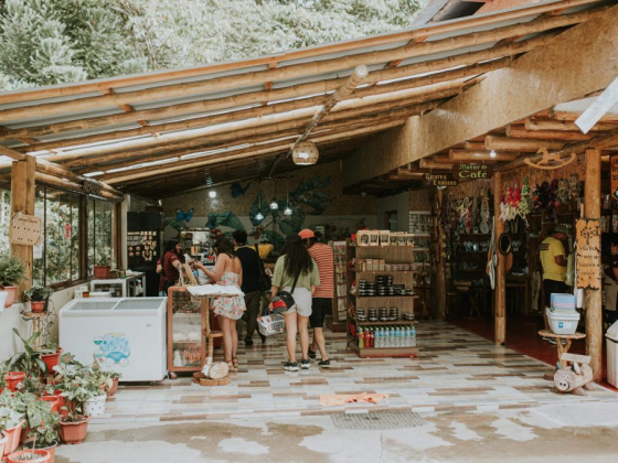 Aneczú Centro Cafetero