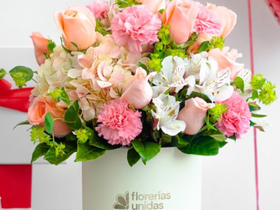 Florerías Unidas