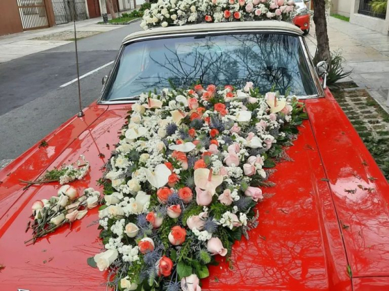 Rosas Perú