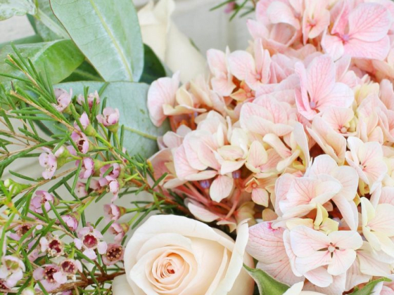 Ramona Floristería