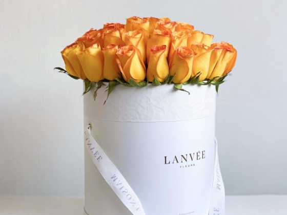 Maison Lanvēe