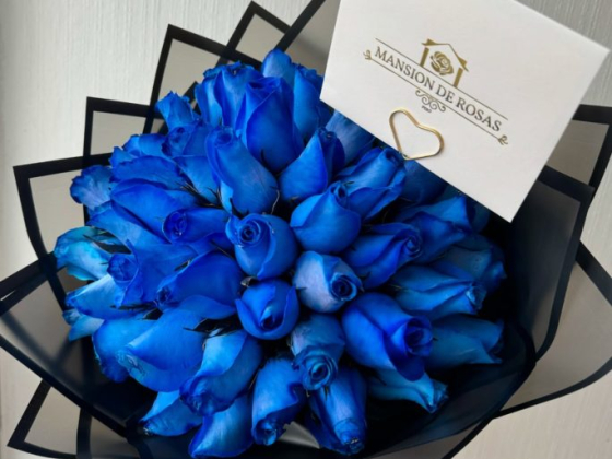 Mansión de Rosas