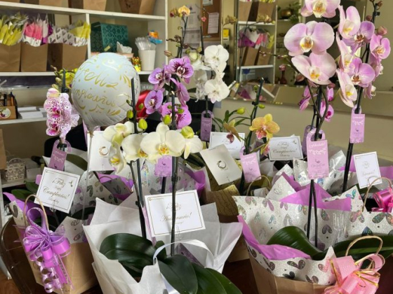 Orquiflor