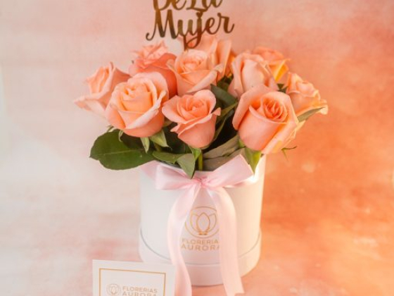 Florerías Aurora