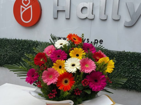Hally's
