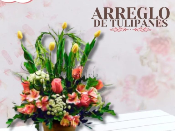 Florería San Isidro