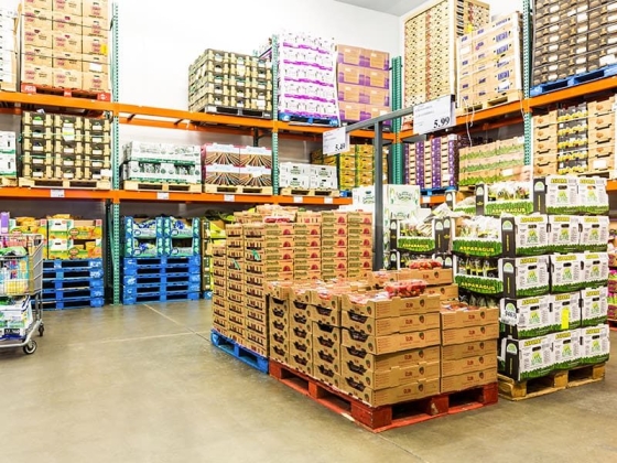 Comercio al por Mayor y Minorista