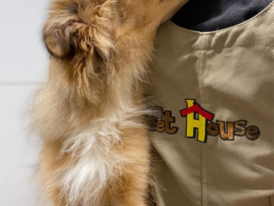 Pet House