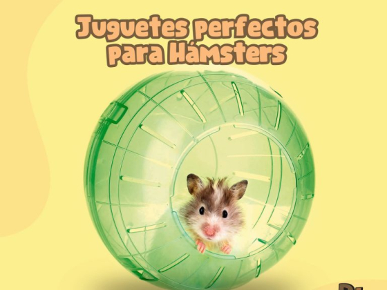 Pet House