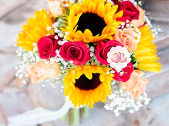 Mundo Floral